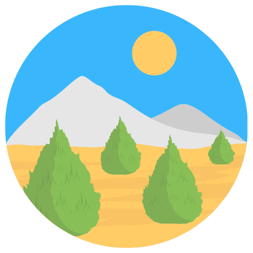 Landscaping & Outdoor